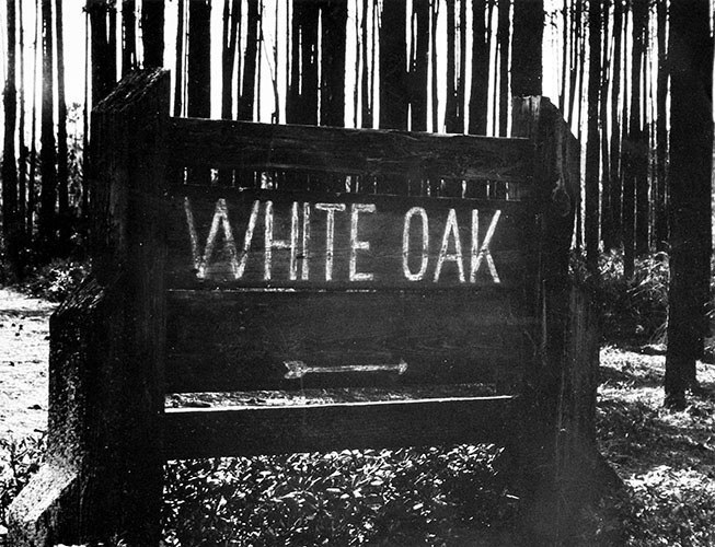Livre White Oak — Dance Project — Richard Melloul